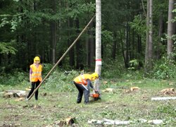 Лісове багатоборство 2013